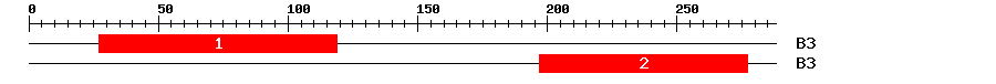 Signature Domain