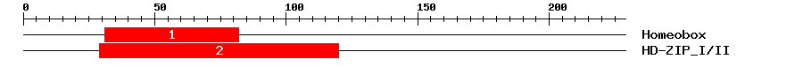 Signature Domain
