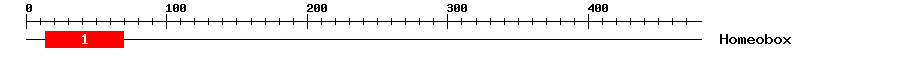 Signature Domain