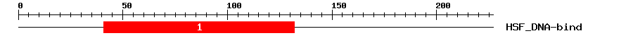 Signature Domain