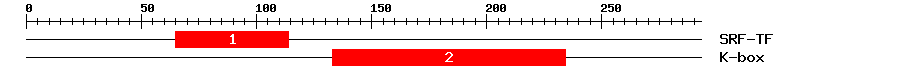 Signature Domain