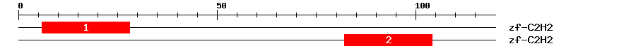 Signature Domain