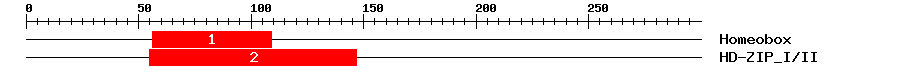 Signature Domain