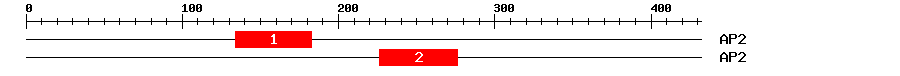 Signature Domain