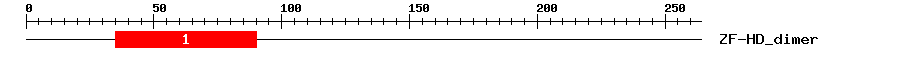 Signature Domain