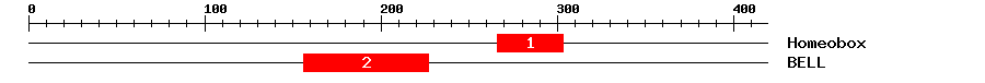 Signature Domain