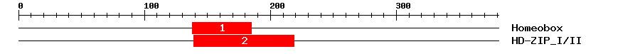 Signature Domain