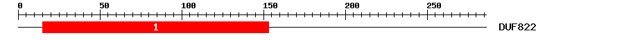 Signature Domain