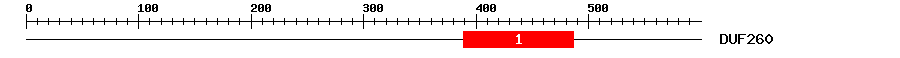 Signature Domain