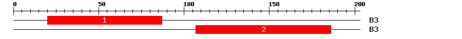 Signature Domain