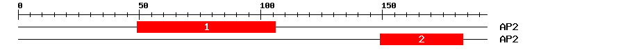 Signature Domain
