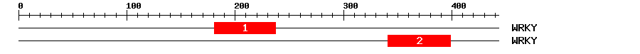 Signature Domain