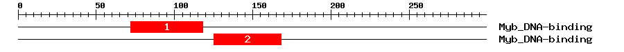 Signature Domain