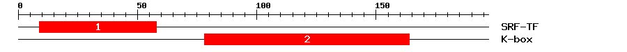 Signature Domain