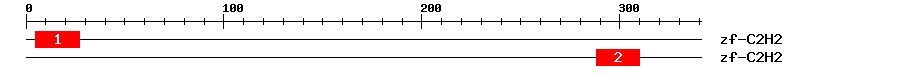 Signature Domain
