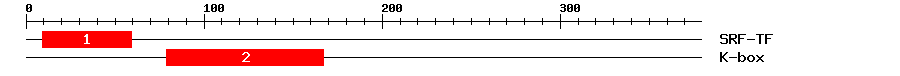 Signature Domain
