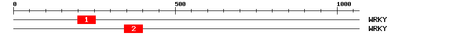 Signature Domain
