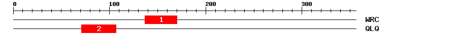 Signature Domain