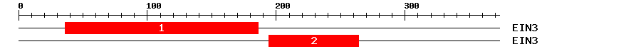 Signature Domain