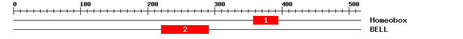 Signature Domain