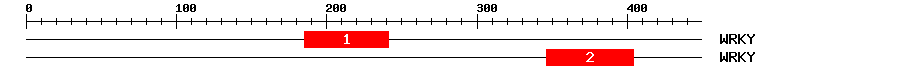 Signature Domain