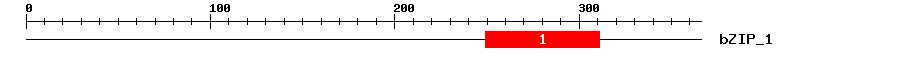 Signature Domain