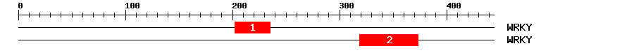 Signature Domain