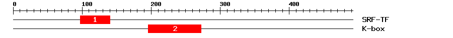 Signature Domain