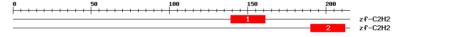 Signature Domain