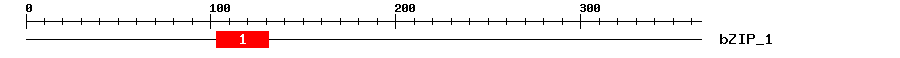 Signature Domain