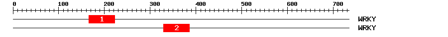 Signature Domain