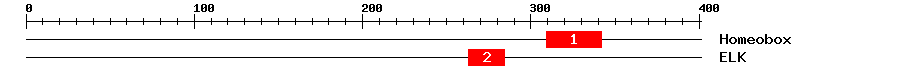 Signature Domain