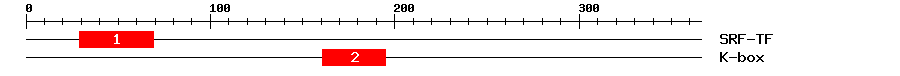 Signature Domain