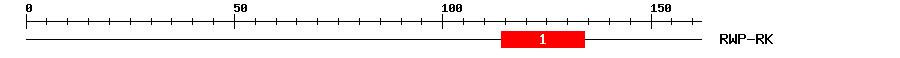 Signature Domain