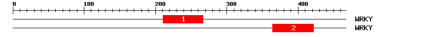 Signature Domain