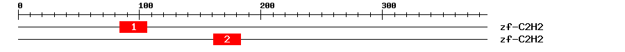 Signature Domain
