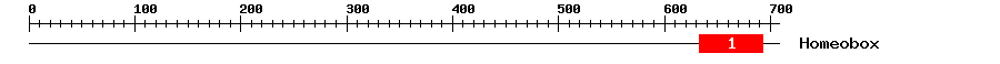 Signature Domain