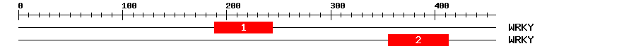 Signature Domain