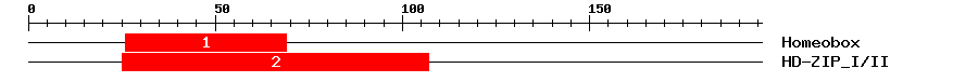 Signature Domain