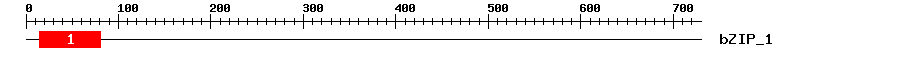 Signature Domain