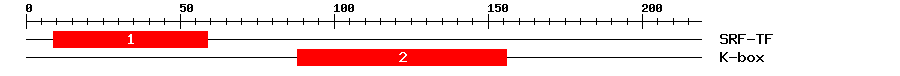 Signature Domain