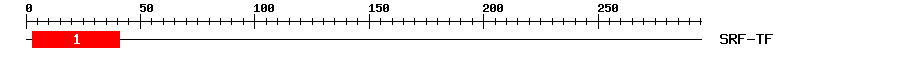 Signature Domain