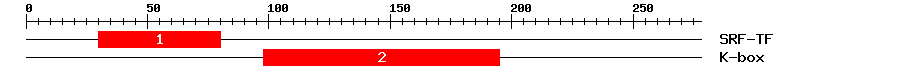 Signature Domain