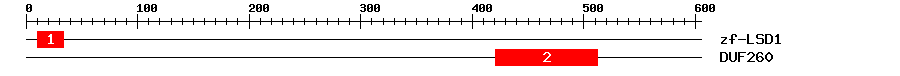 Signature Domain