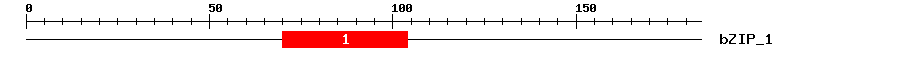 Signature Domain