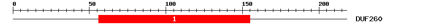 Signature Domain