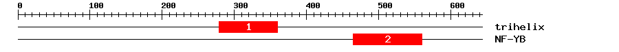 Signature Domain