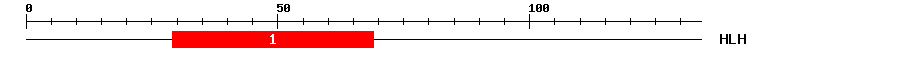 Signature Domain
