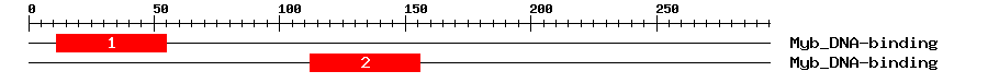 Signature Domain