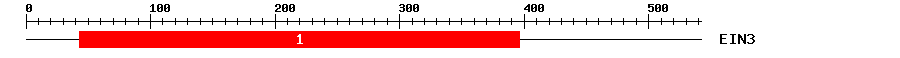 Signature Domain